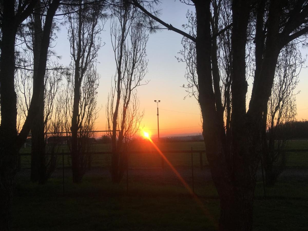 Le Paradis De La Provence Saint-Cyr-sur-le-Rhone ภายนอก รูปภาพ